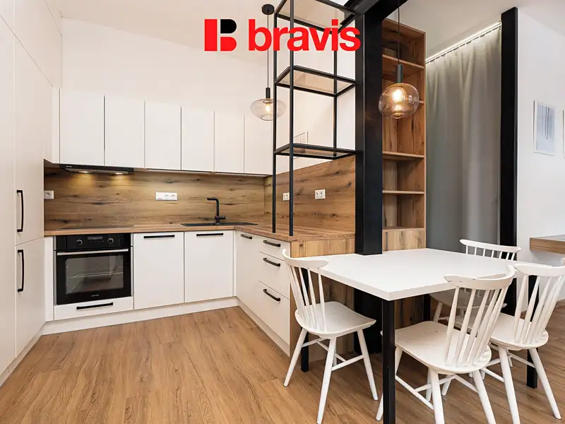 Pronájem bytu 1+kk 41 m², Brno – náhled fotky 1