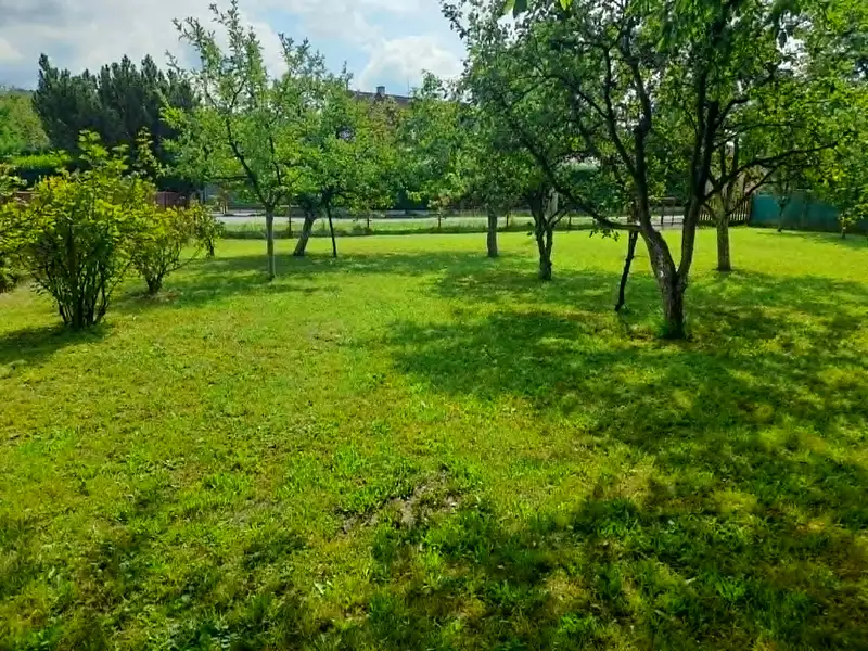 Prodej stavebního pozemku 575 m², Vikýřovice – náhled fotky 1
