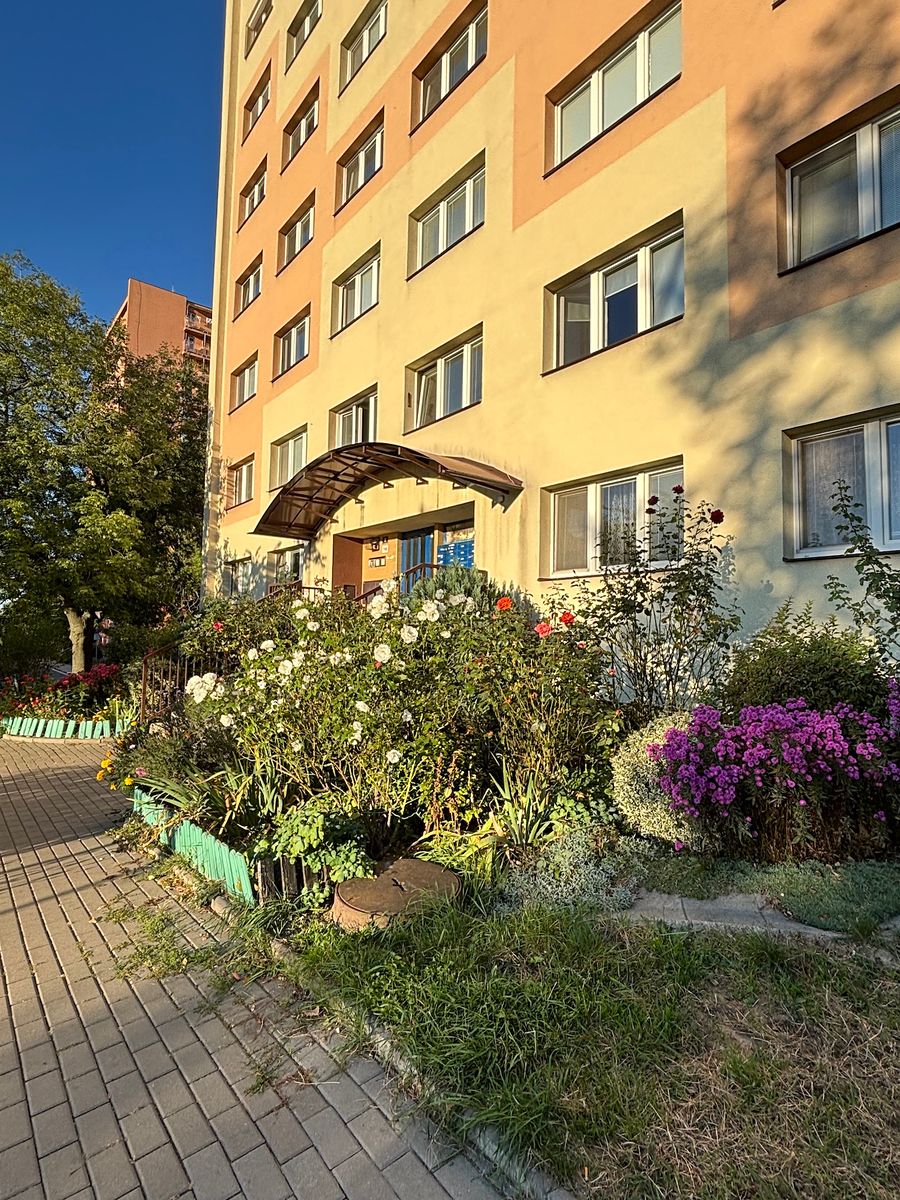Pronájem bytu 1+1 26 m² – fotografie 3
