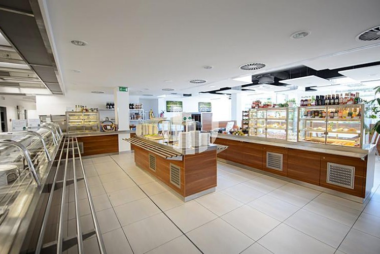 Комерційне приміщення в оренду, 460 м² (9 з 10)