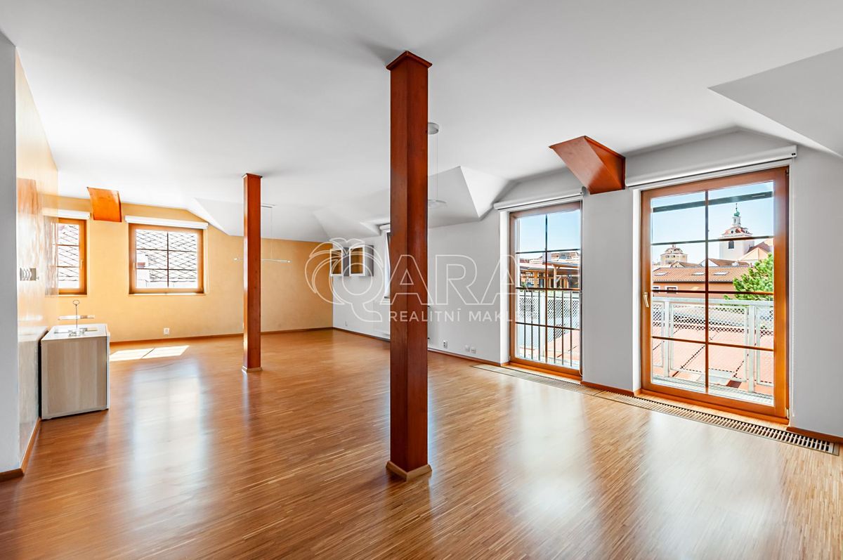 Pronájem bytu 4+kk 230 m² – fotografie 2