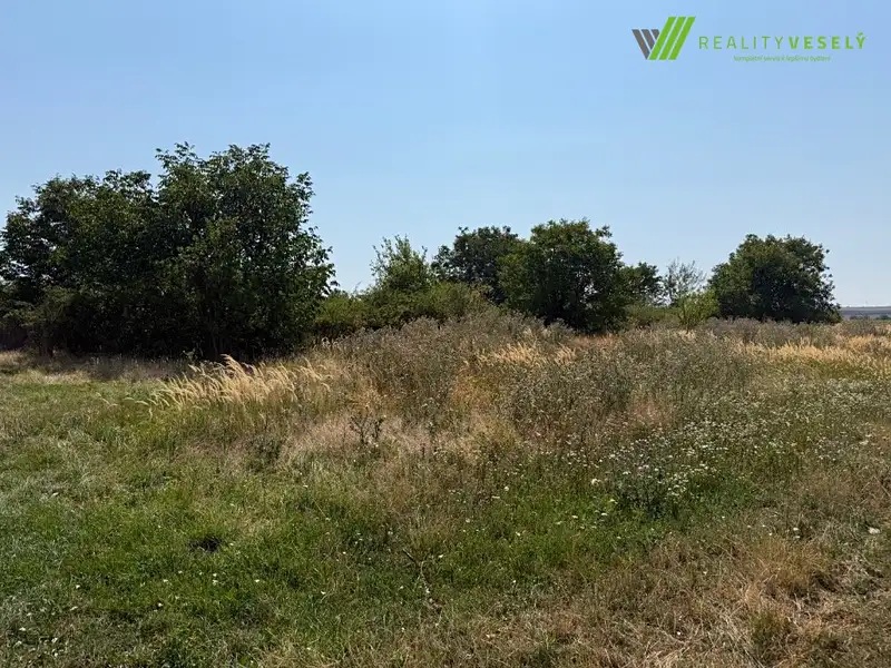 Prodej sadu, vinice 2593 m², Moravský Žižkov – náhled fotky 2