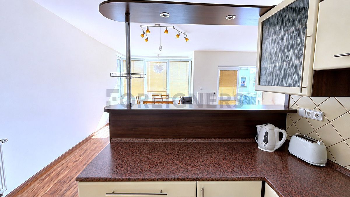 Pronájem bytu 2+kk 66 m² – fotografie 4