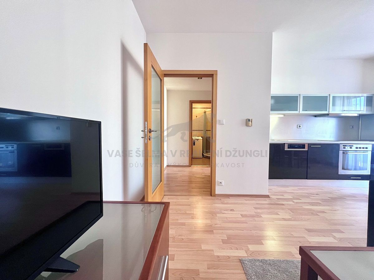 Pronájem bytu 2+kk 45 m² – fotografie 3