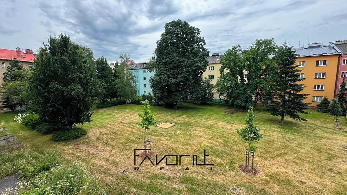 Fotka 15 z 19