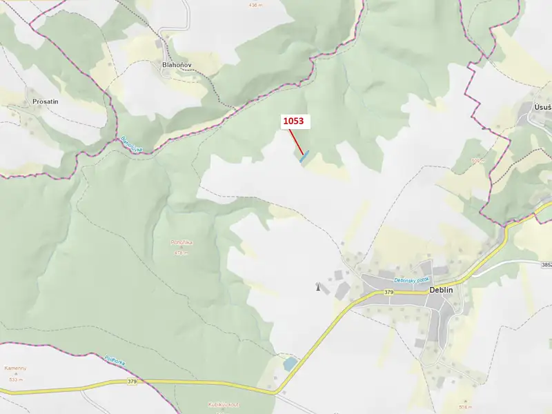 Dražba lesa 1757 m², Deblín – náhled fotky 1