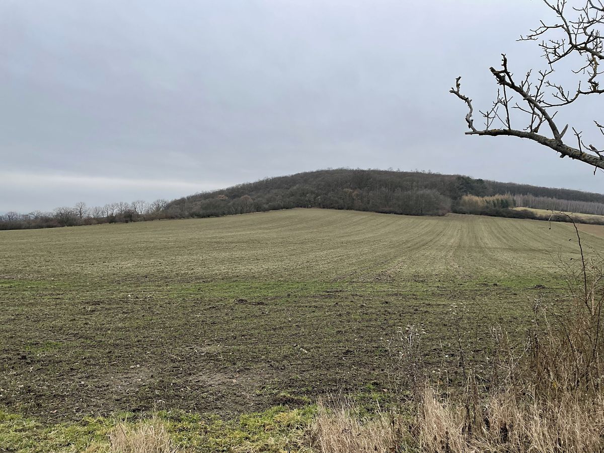 Prodej pole 98148 m² – fotografie 2