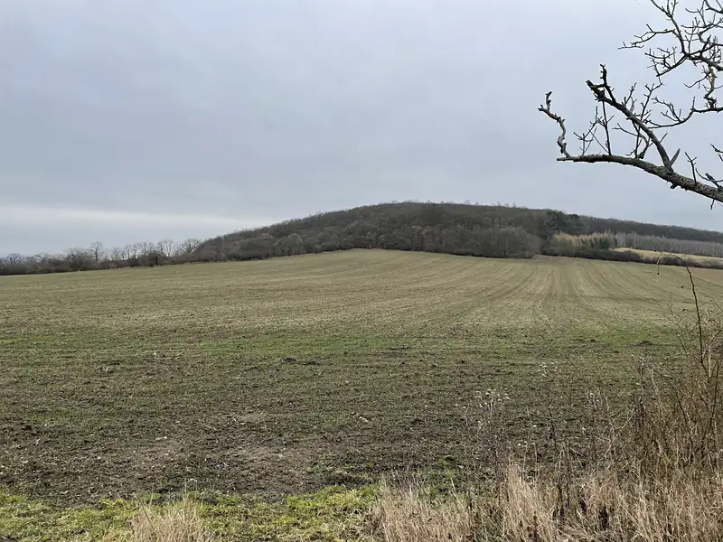Prodej pole 98148 m², Polepy – náhled fotky 2
