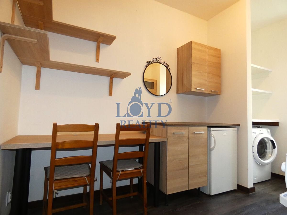 Pronájem bytu 1+1 37 m² – fotografie 3