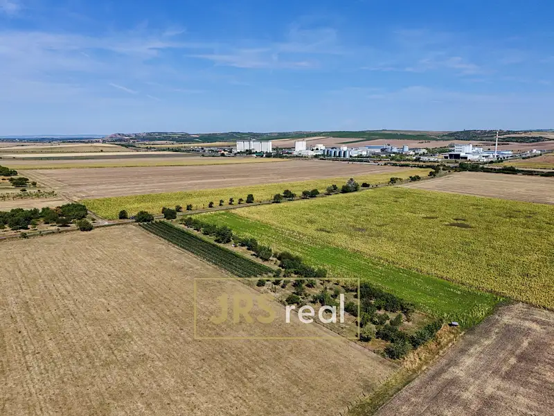 Prodej sadu, vinice 1711 m², Šakvice – náhled fotky 3