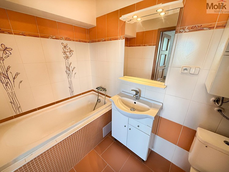 Wohnung 1+kk zum Kauf, 33 m² (10 von 16)