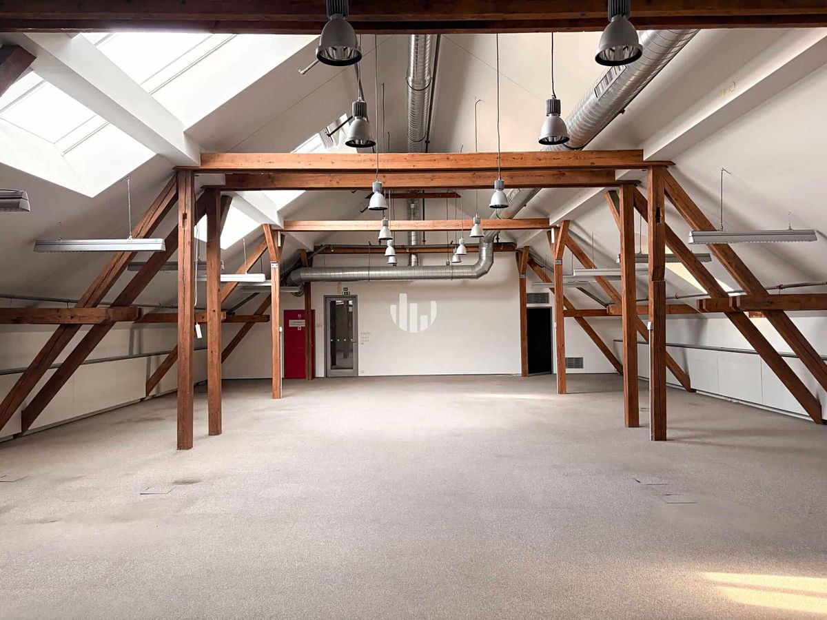 Pronájem kanceláře 446 m² – fotografie 3