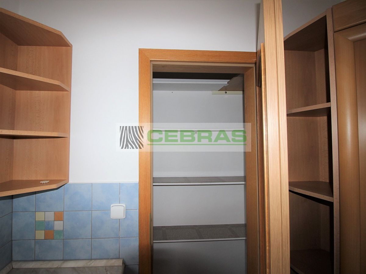 Pronájem rodinného domu 272 m², pozemek 828 m² – fotografie 5