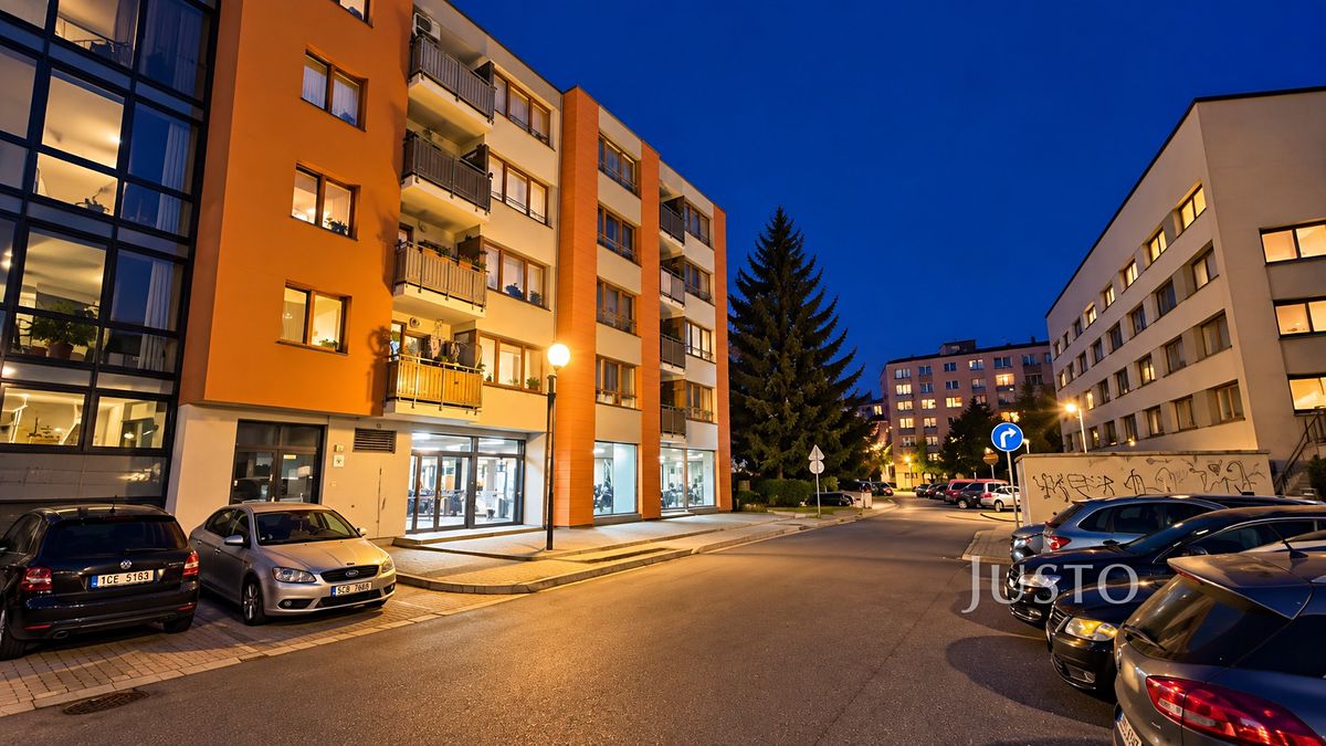 Prodej obchodního prostoru 229 m² – fotografie 3