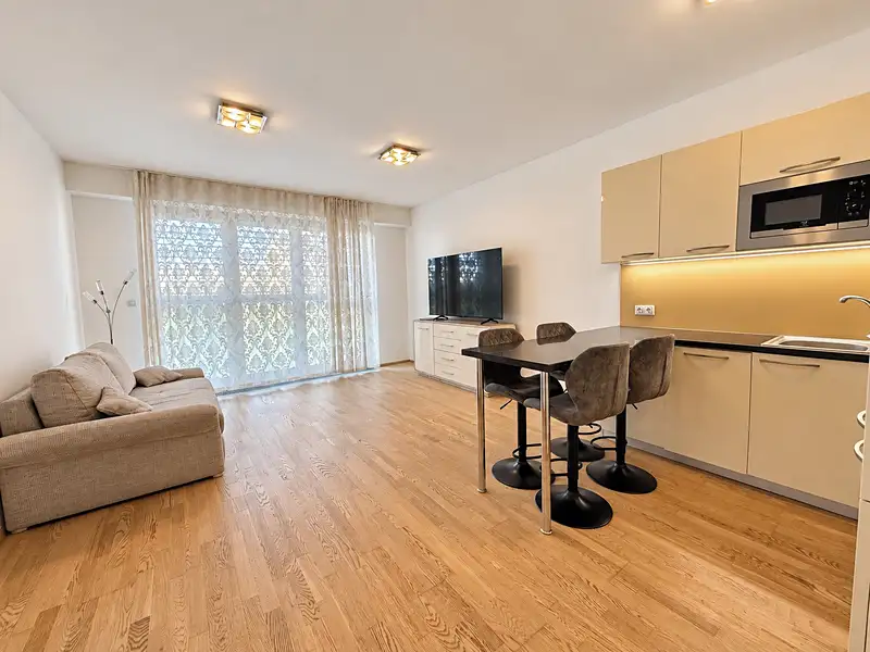 Pronájem bytu 1+kk 37 m², Praha – náhled fotky 2