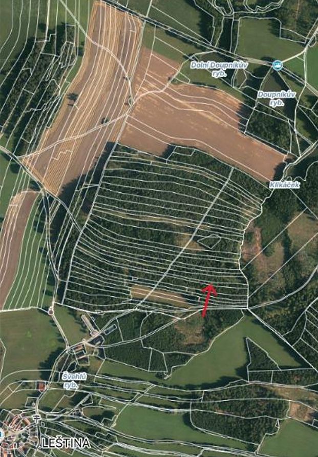 Prodej lesa 2680 m² – fotografie 4