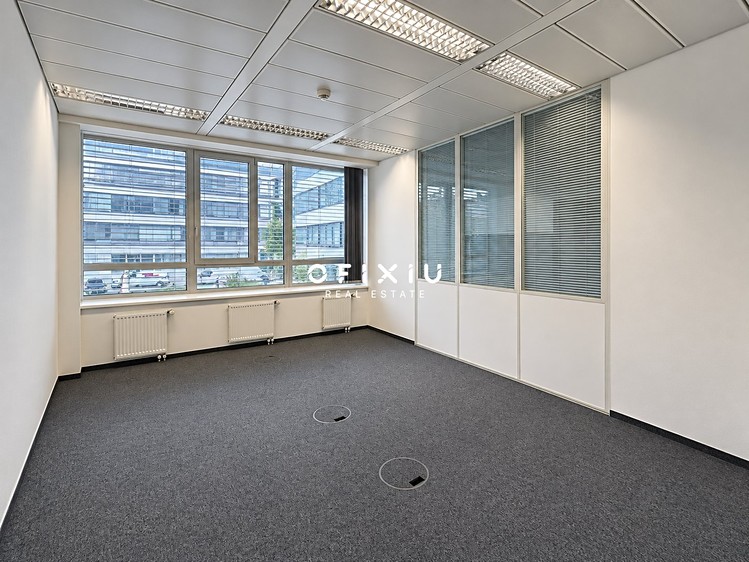Pronájem komerčního prostoru, 281 m² (10 z 18)
