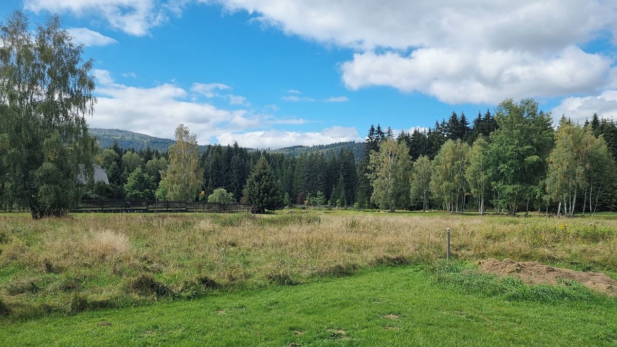 Prodej stavebního pozemku 3812 m² – fotografie 2