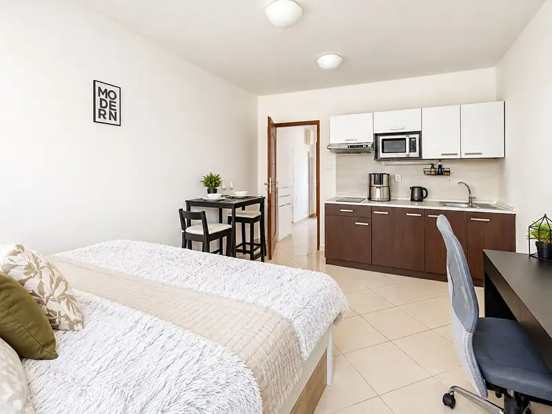 Prodej bytu 1+kk 29 m², Brno – náhled fotky 3