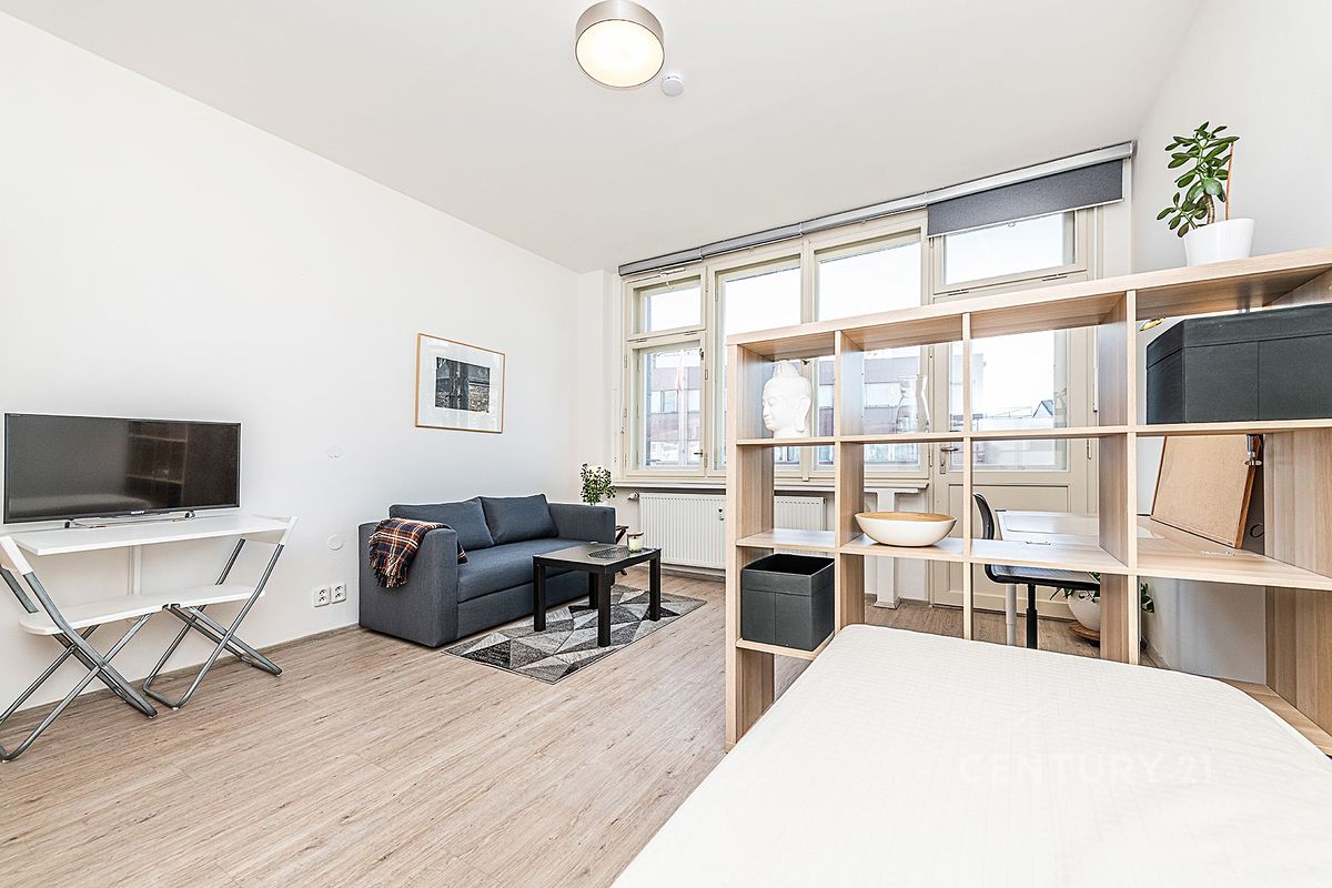 Pronájem bytu 1+1 30 m²
