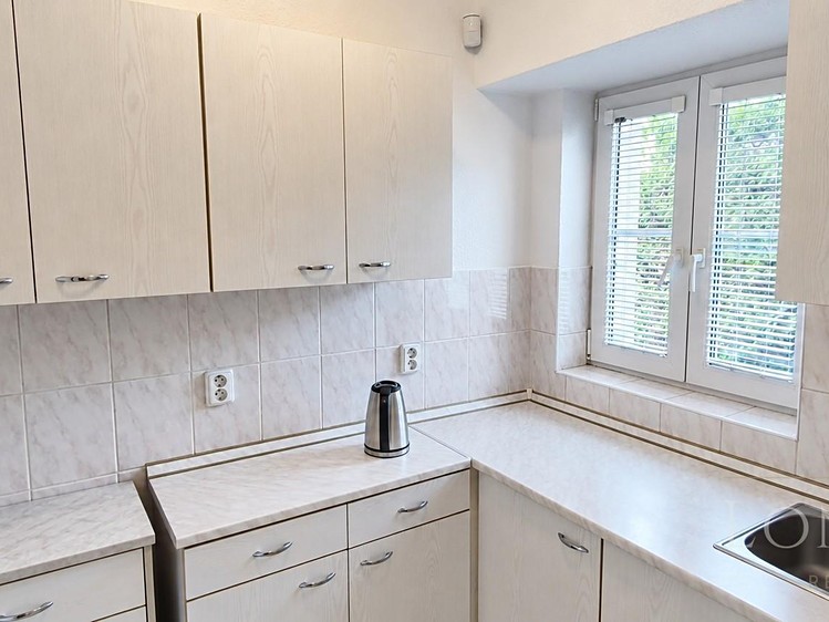 Pronájem komerčního prostoru, 75 m² (5 z 10)