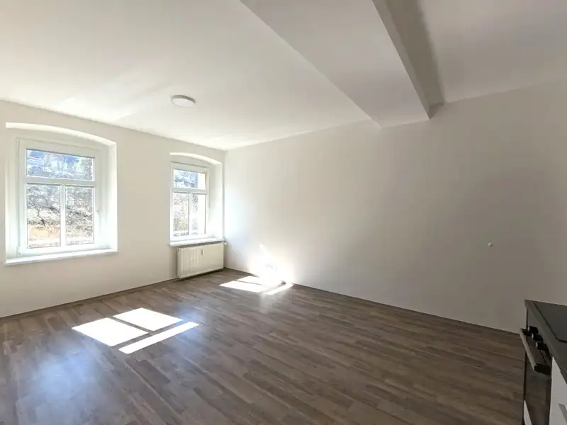 Pronájem bytu 1+kk 33 m², Liberec – náhled fotky 3