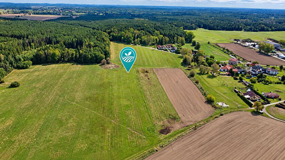 Prodej pole 6512 m² – fotografie 2