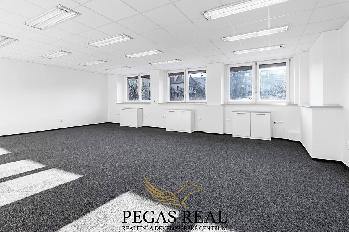 Pronájem kanceláře 215 m² – fotografie 2
