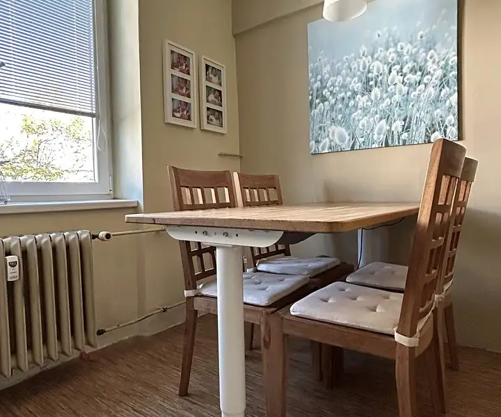 Prodej bytu 2+1 62 m², Plzeň – náhled fotky 2