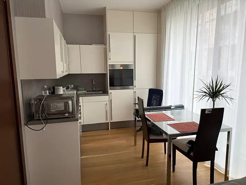 Pronájem bytu 1+kk 37 m², Praha – náhled fotky 3