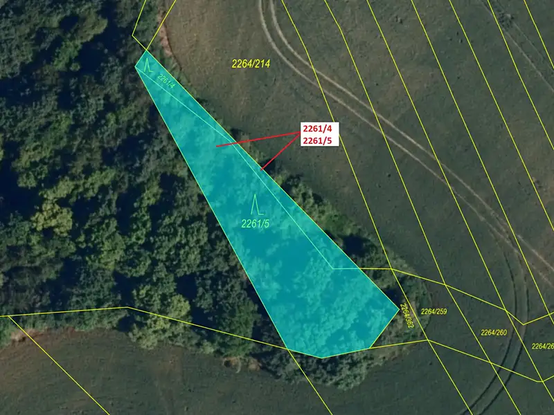Dražba lesa 919 m², Oslavany – náhled fotky 2