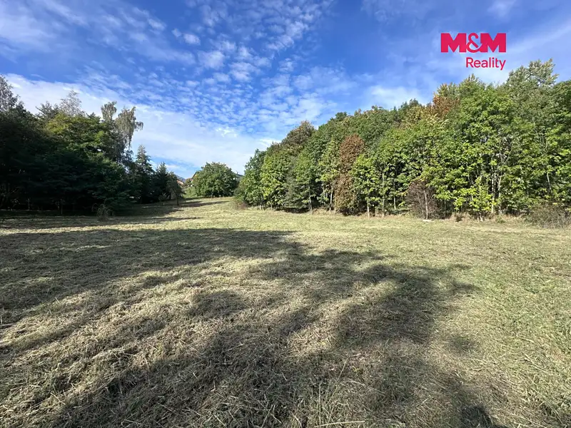 Prodej stavebního pozemku 5378 m², Velemín – náhled fotky 3