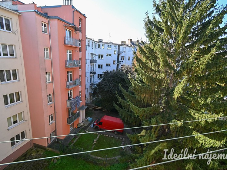 Ostatní