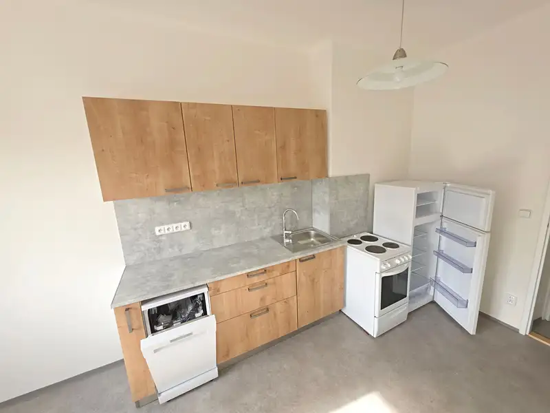 Pronájem bytu 1+1 45 m², Praha – náhled fotky 2