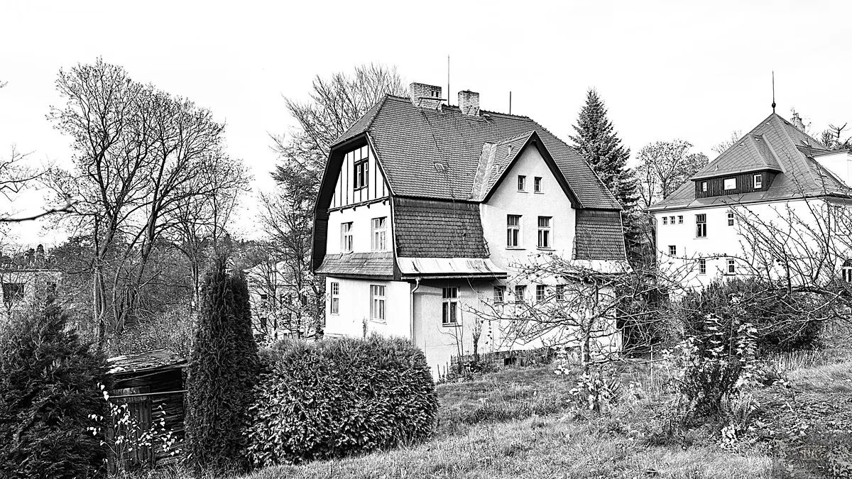 Fotka 10 z 12