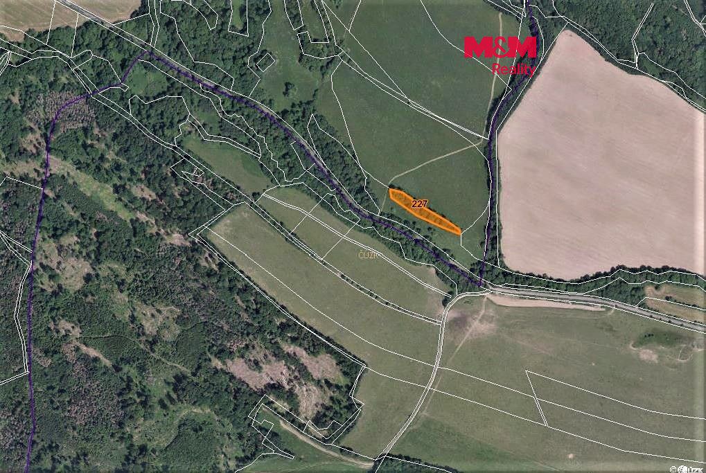 Prodej lesa 2536 m², Žandov – fotka 1 z 3
