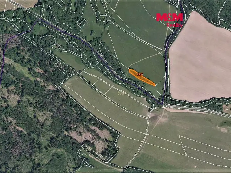 Prodej lesa 2536 m², Žandov – náhled fotky 1