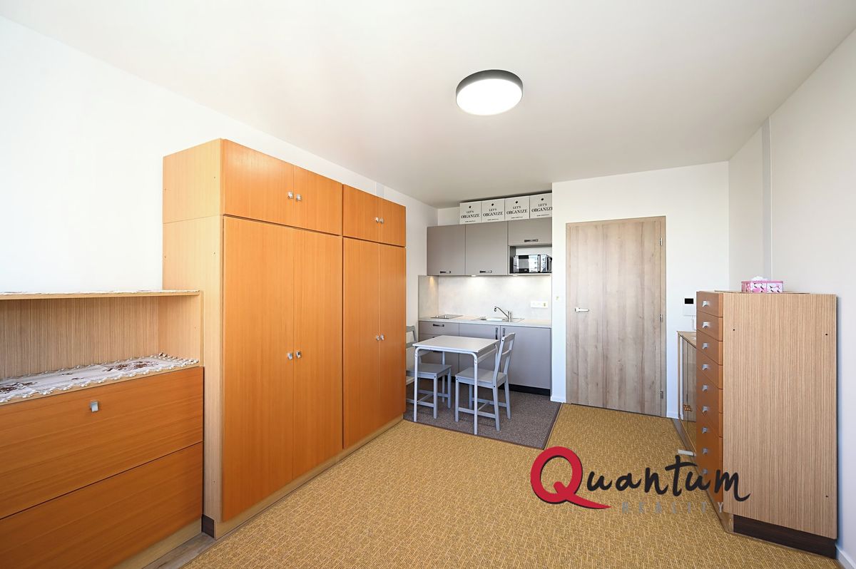 Pronájem bytu 1+kk 27 m² – fotografie 3