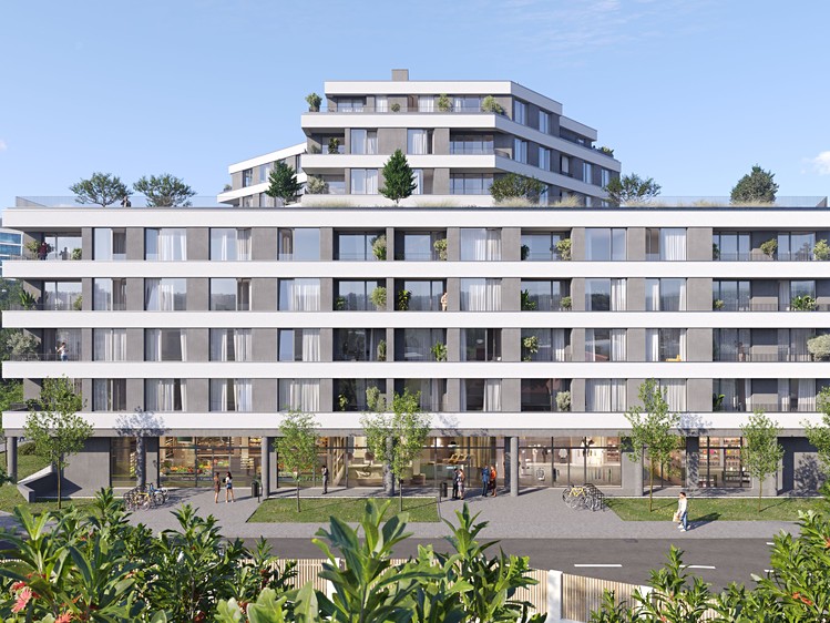 Pronájem komerčního prostoru, 274 m² (1 z 5)
