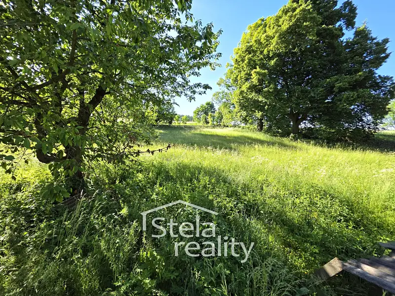 Prodej rodinného domu 195 m², pozemek 2071 m², Milotice nad Opavou – náhled fotky 3