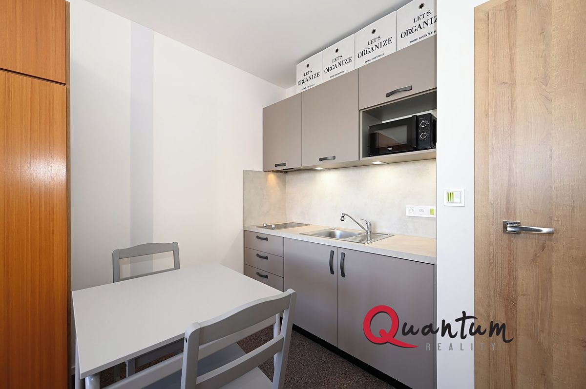 Pronájem bytu 1+kk 27 m²
