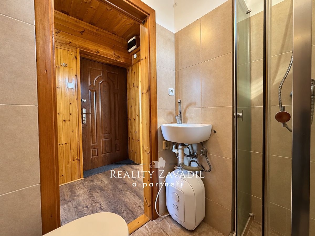 Pronájem bytu 1+1 55 m² – fotografie 3