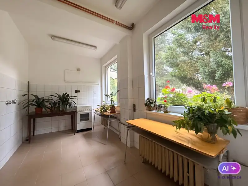 Pronájem obchodního prostoru 150 m², Děčín – náhled fotky 3