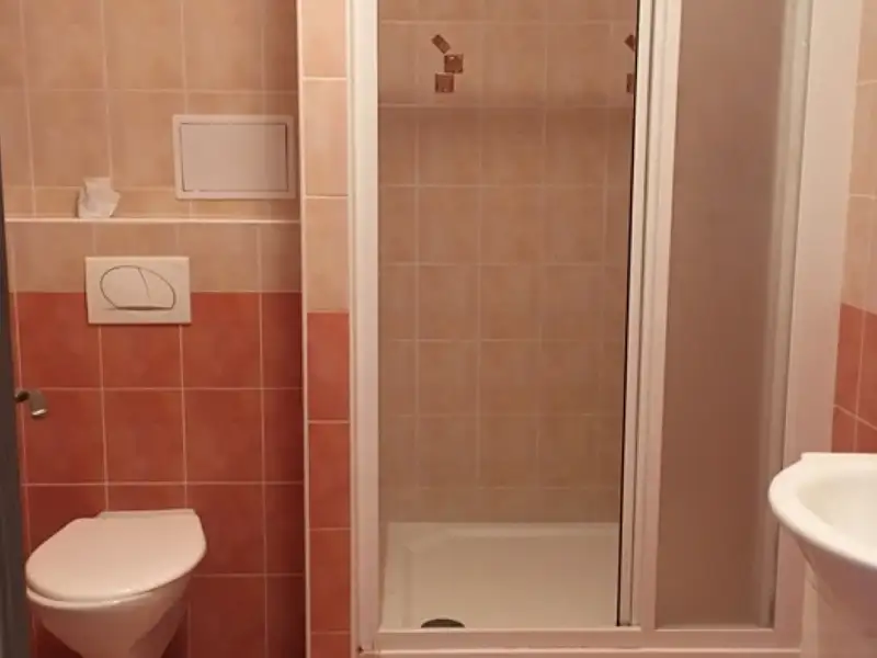 Pronájem bytu 1+kk 38 m², Benešov – náhled fotky 3