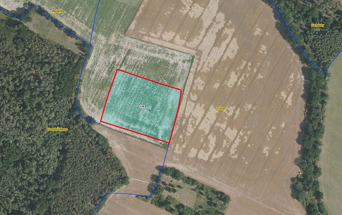 Prodej pole 13416 m², Tuřice – fotka 1 z 3
