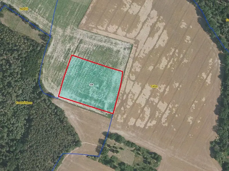 Prodej pole 13416 m², Tuřice – náhled fotky 1