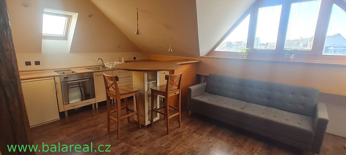 Pronájem bytu 1+kk 50 m² – fotografie 4