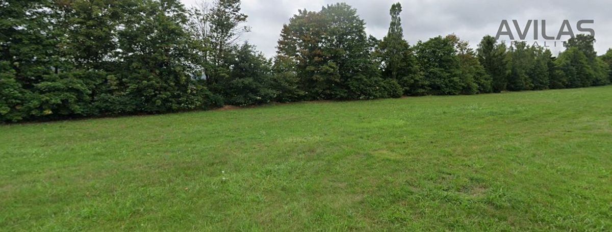 Pronájem louky 7945 m² – fotografie 4