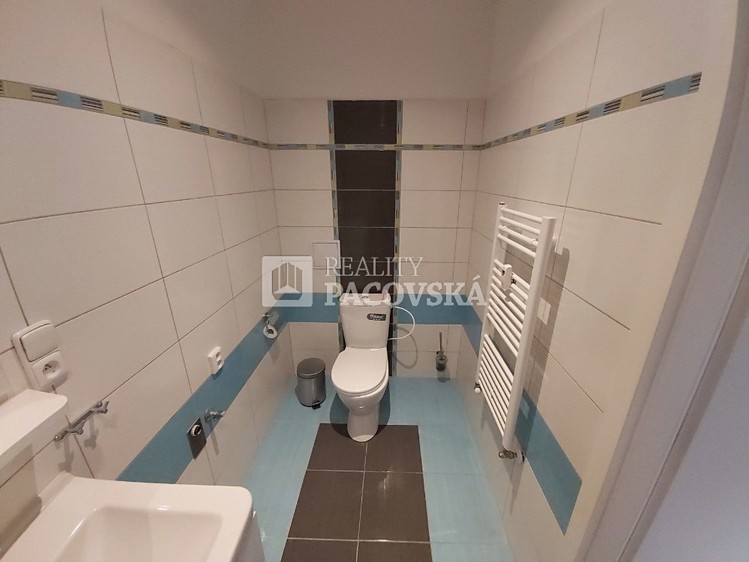 Pronájem bytu 2+1, 61 m² (10 z 12)