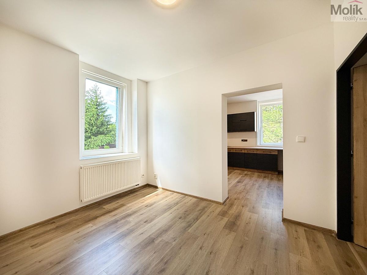 Pronájem bytu 2+1 45 m² – fotografie 4